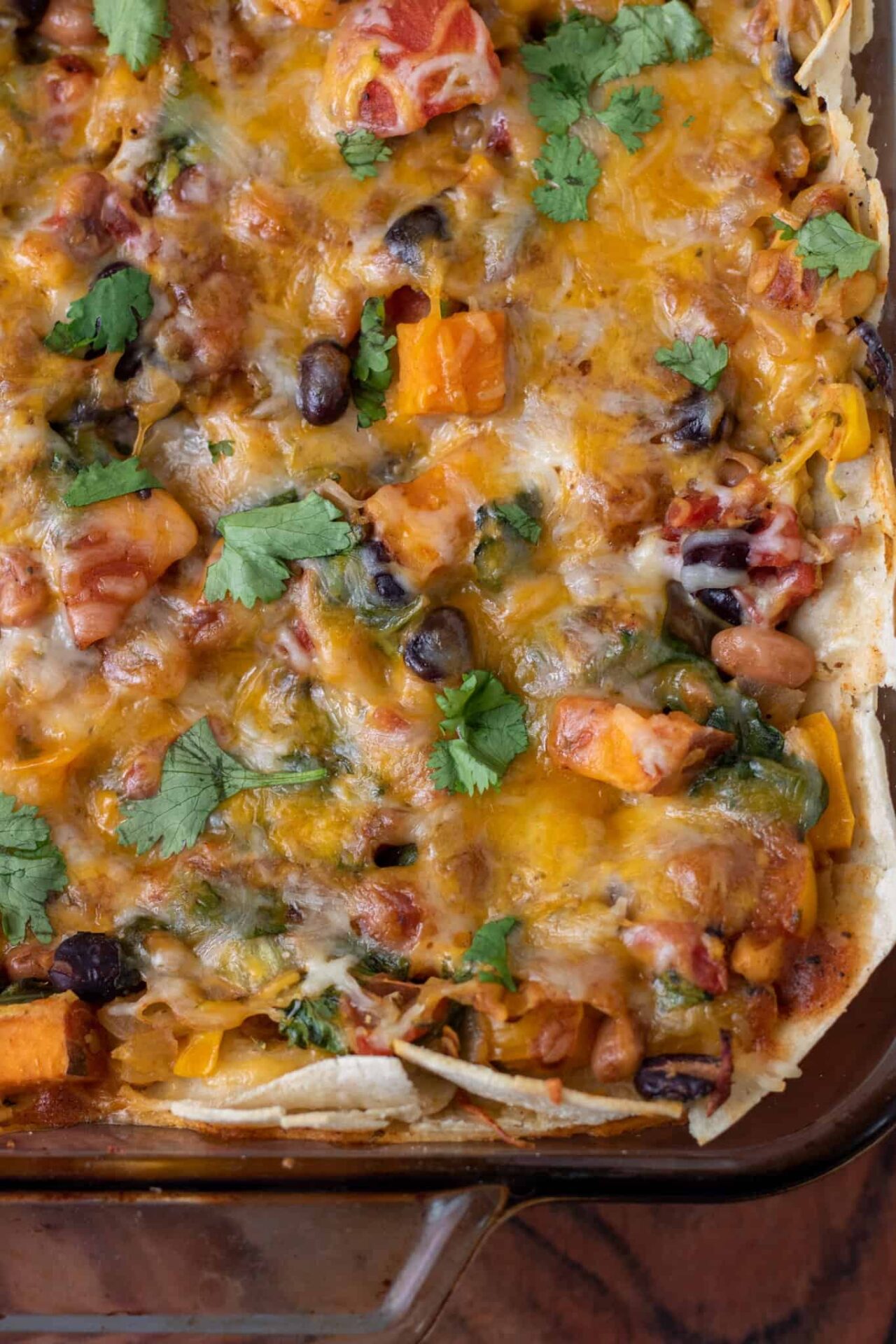 A glass baking dish with enchilada casserole. It's topped with fresh cilantro. You can see the colorful veggies in the casserole