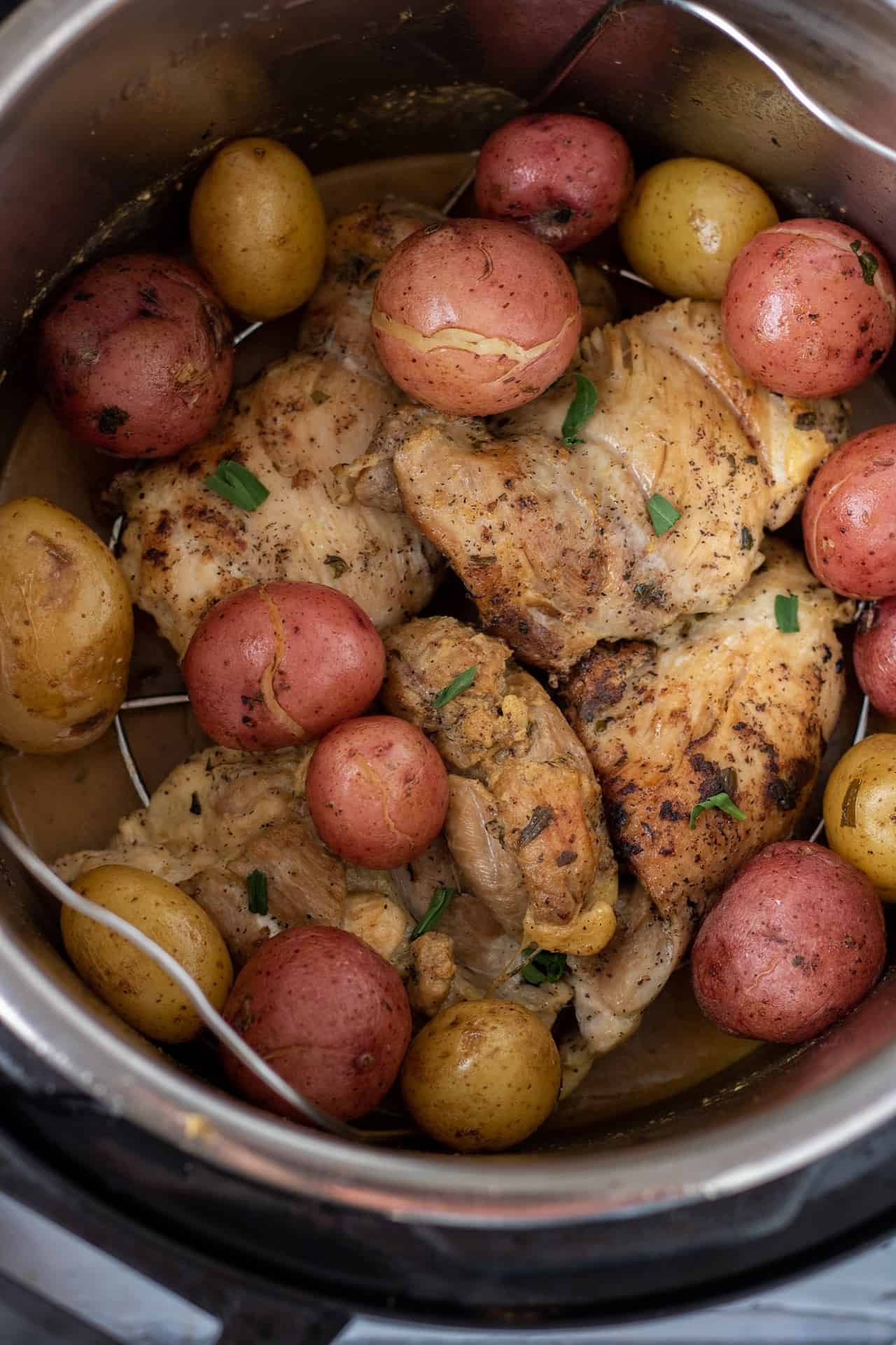 A large instant pot filled with baby red and yellow skin potatoes and browned chicken thighs. They have seasoning on them and fresh tarragon.