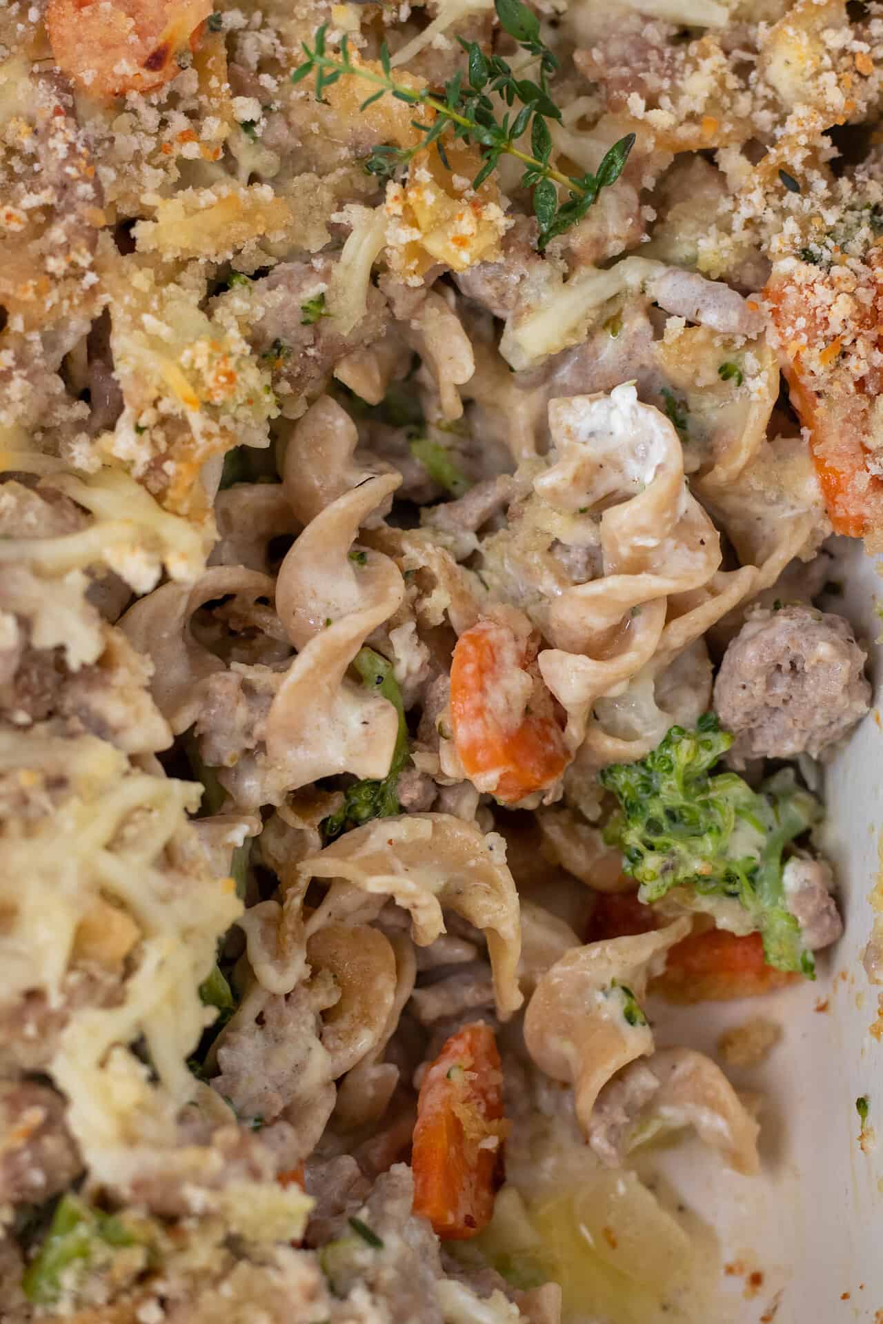 A close up of turkey and broccoli casserole. You can see the creamy noodles with carrots and panko topping