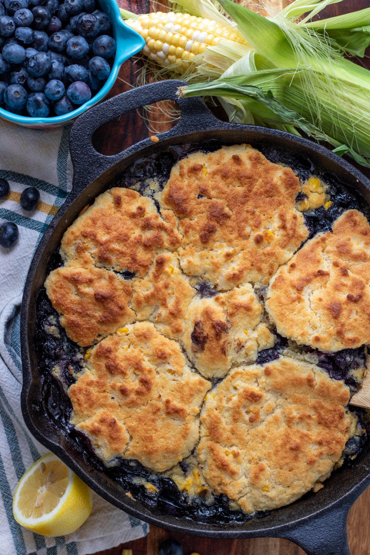 A cast iron skillet baked with blueberry cobbler with cornbread biscuit topping. There's fresh blueberries and an ear of corn in the background. The cobbler biscuits are lightly browned.